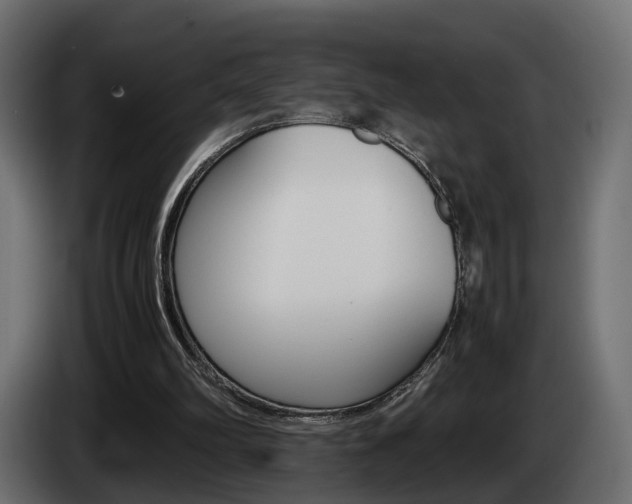X0000085050102200703051053