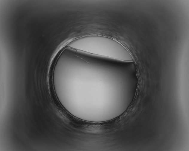 X0000085050104200703051053