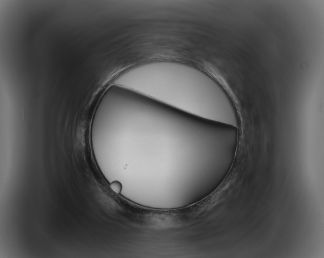 X0000085050106200703051053