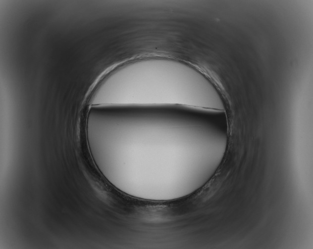 X0000085050108200703051053