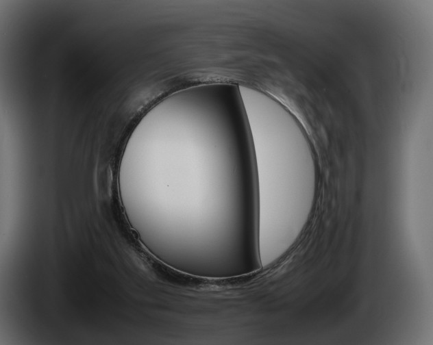 X0000085050109200703051053