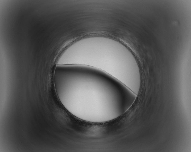 X0000085050111200703051053