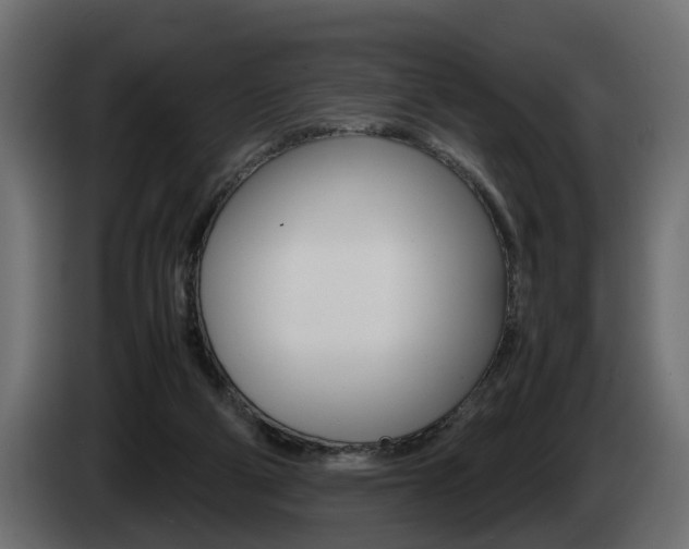X0000085050114200703051053