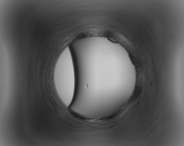 X0000085050121200703051053