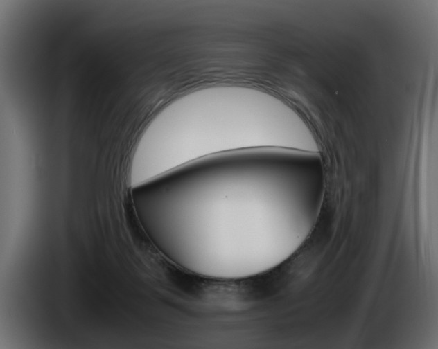X0000085050123200703051053