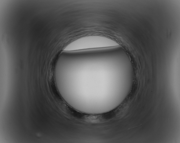 X0000085050129200703051052