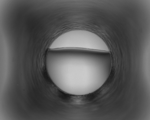 X0000085050131200703051052