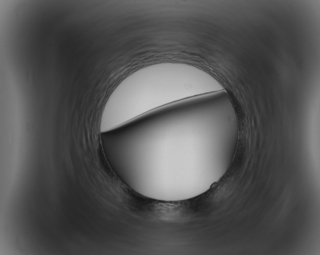 X0000085050139200703051052