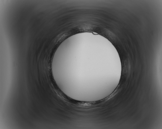 X0000085050140200703051052
