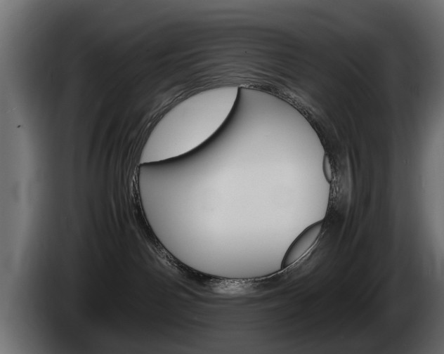 X0000085050142200703051052