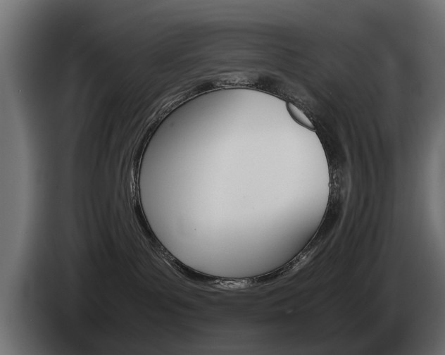 X0000085050143200703051052