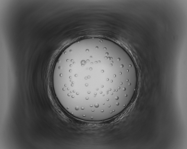 X0000085050145200703051052