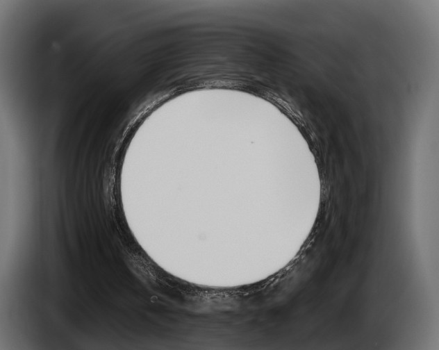 X0000085050146200703051052
