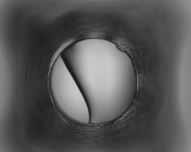 X0000085050147200703051052