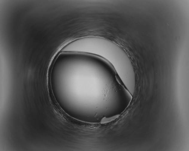 X0000085050148200703051052