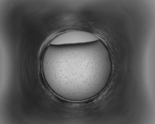 X0000085050149200703051052