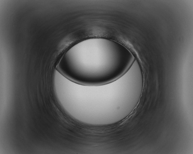 X0000085050154200703051052