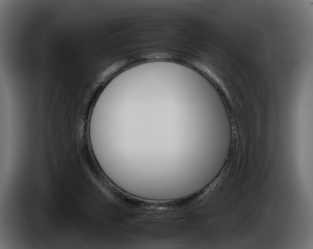X0000085050159200703051052
