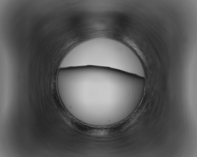 X0000085050161200703051052