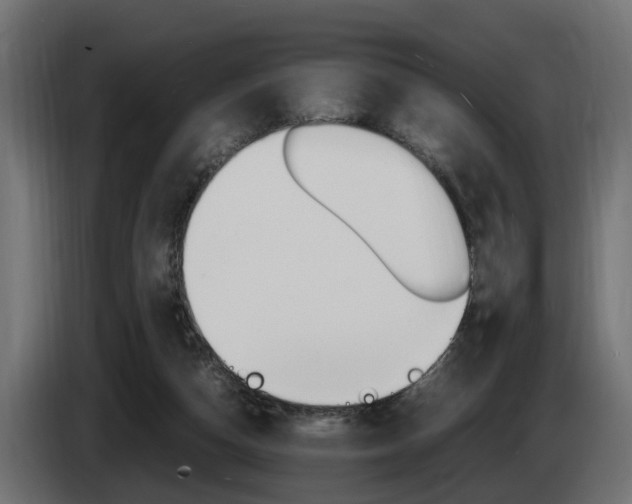 X0000085050162200703051052