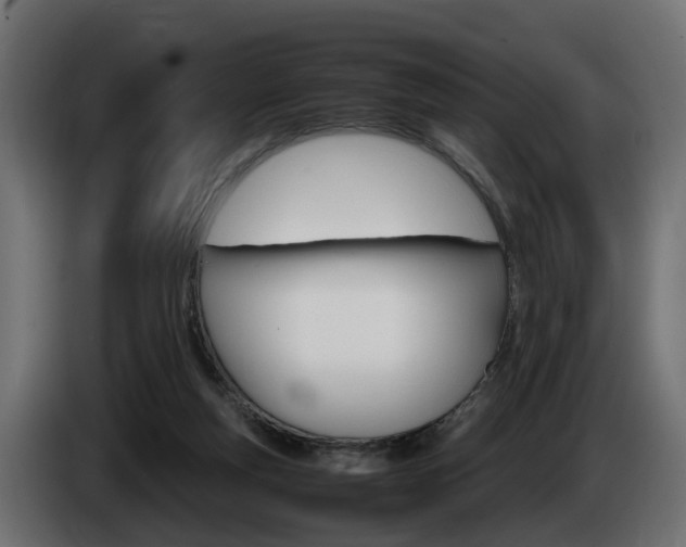 X0000085050163200703051052