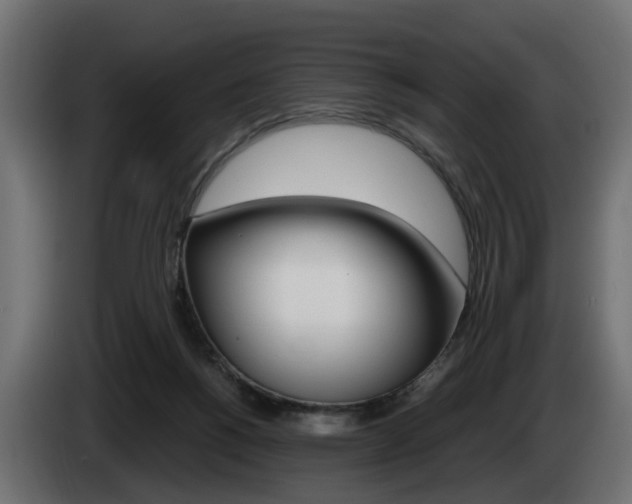X0000085050168200703051052