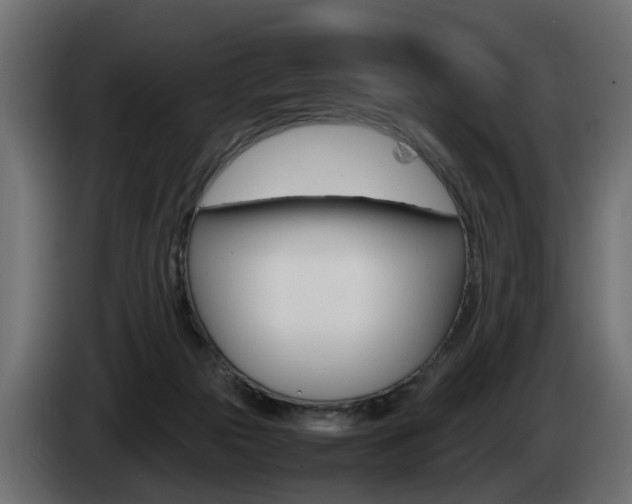X0000085050169200703051052