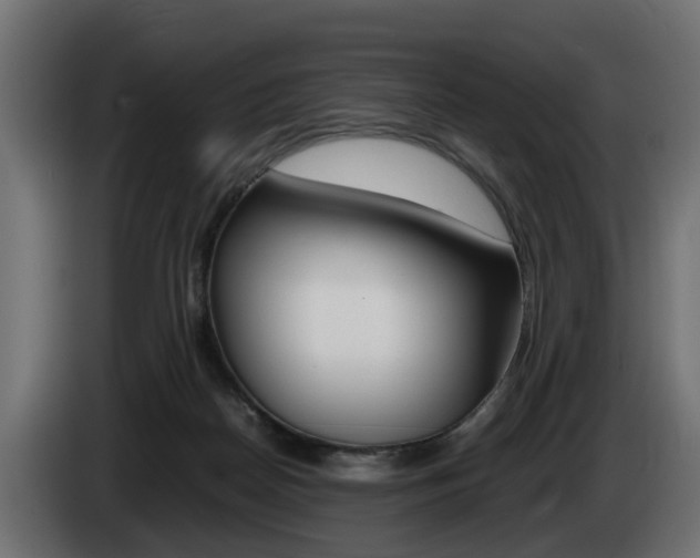 X0000085050170200703051052