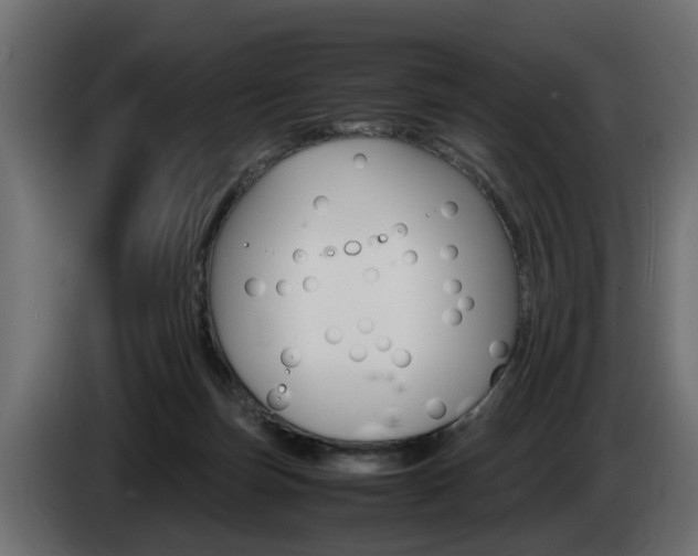 X0000085050171200703051052
