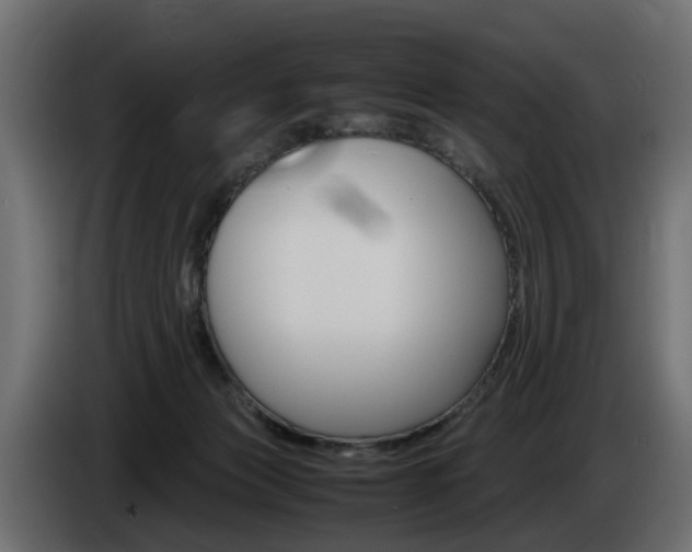 X0000085050173200703051052