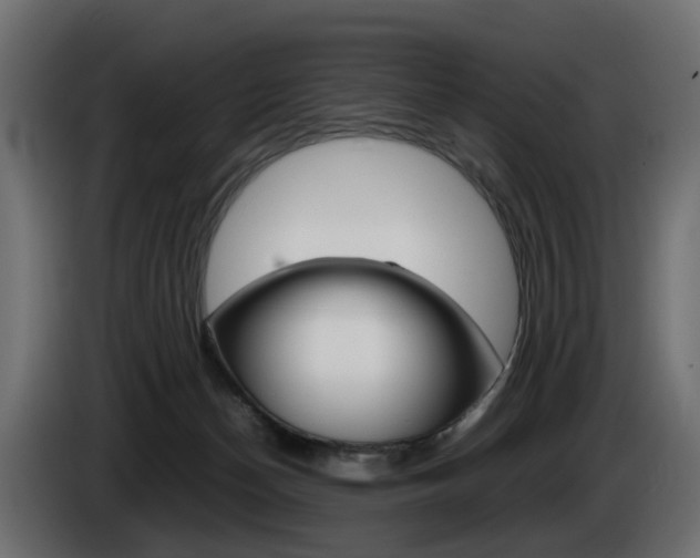 X0000085050174200703051052