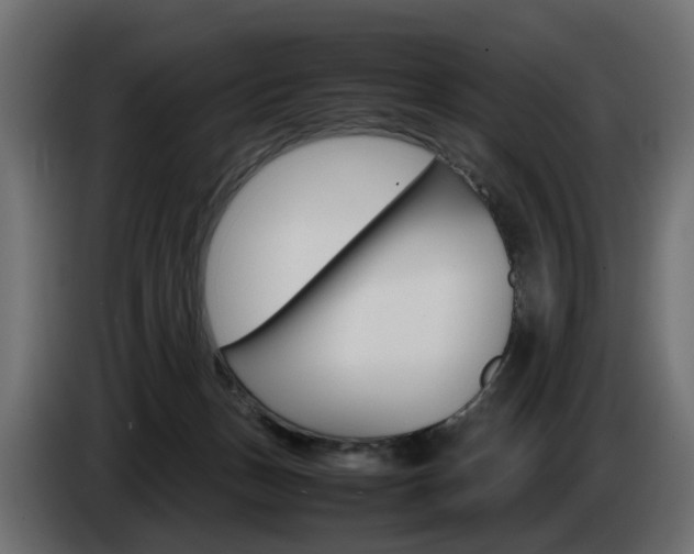 X0000085050175200703051052