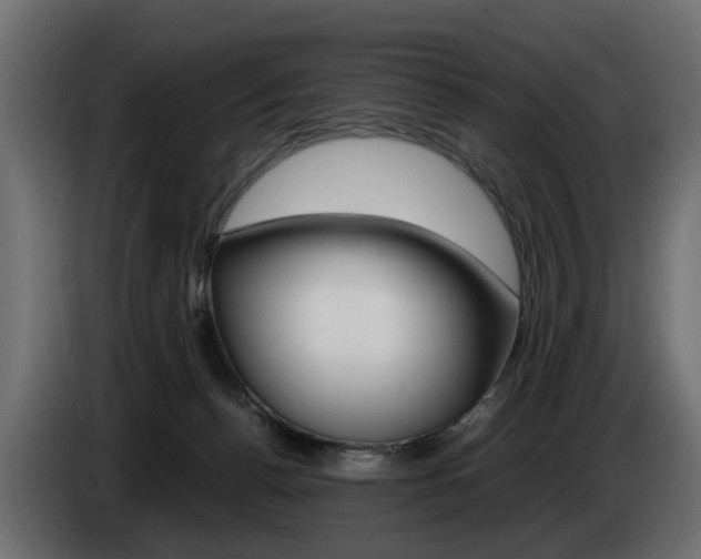 X0000085050176200703051052