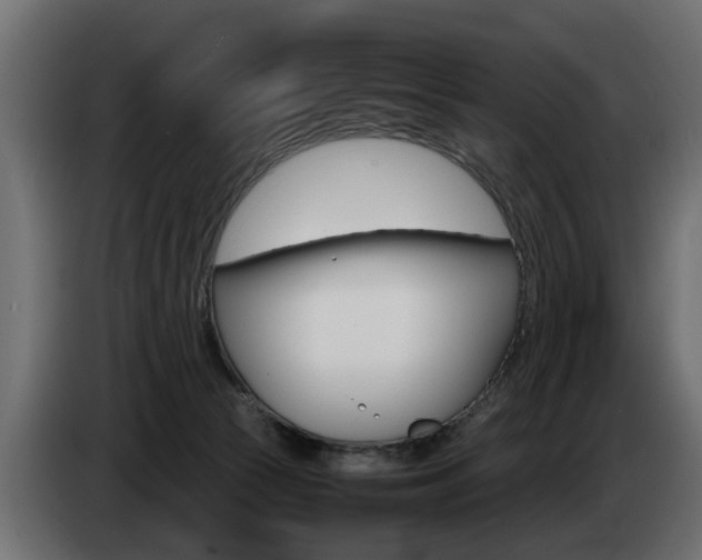 X0000085050177200703051052