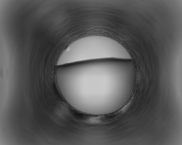 X0000085050178200703051052