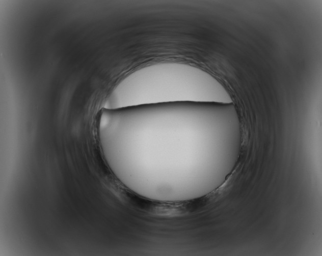 X0000085050179200703051052