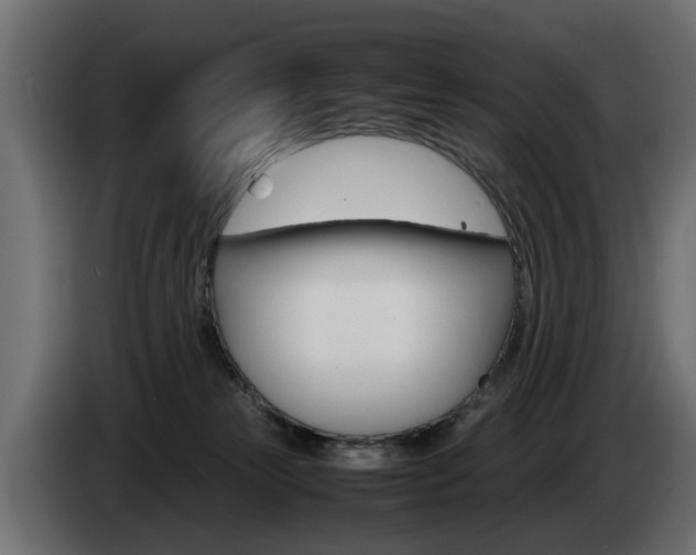 X0000085050181200703051052