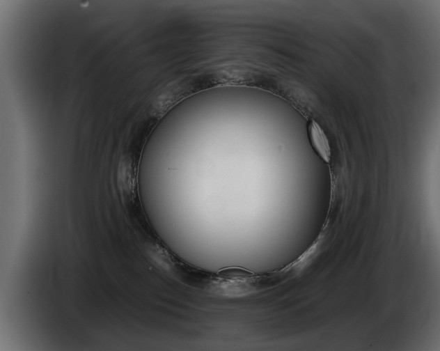 X0000085050186200703051052