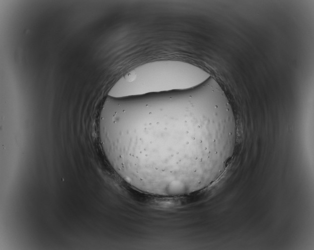 X0000085050187200703051052