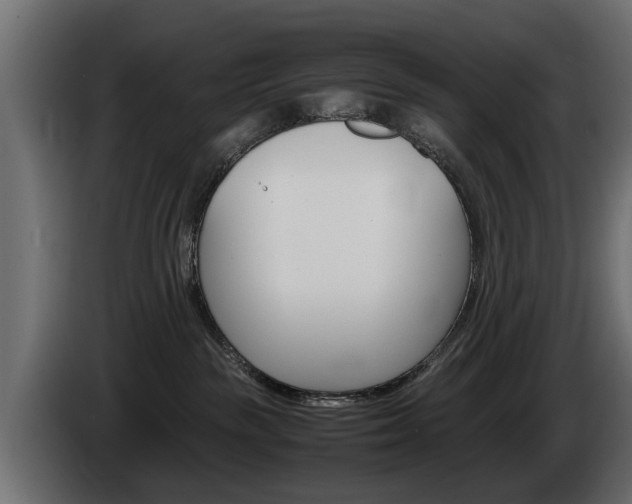 X0000085050189200703051052