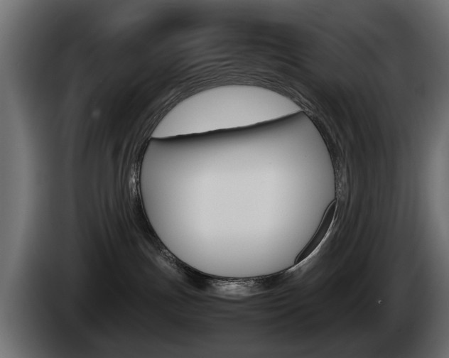 X0000085050191200703051052