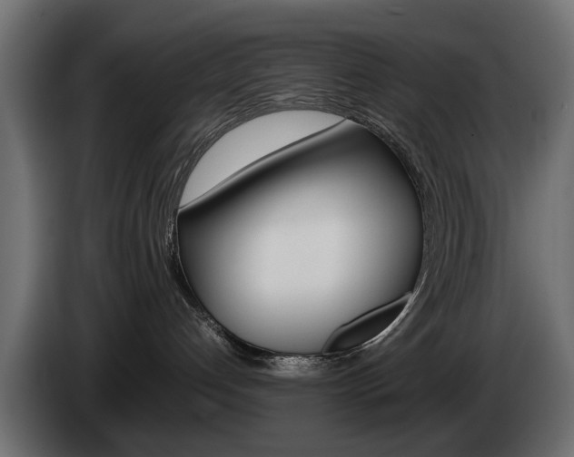 X0000085050192200703051052