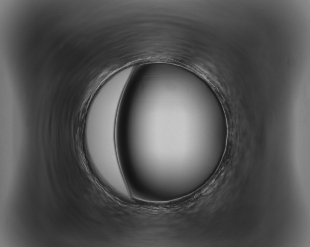 X0000085050193200703051052