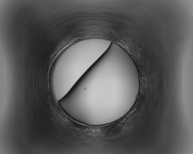 X0000085050194200703051052