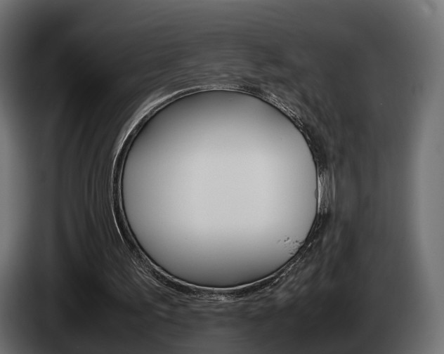 X0000085050195200703051052