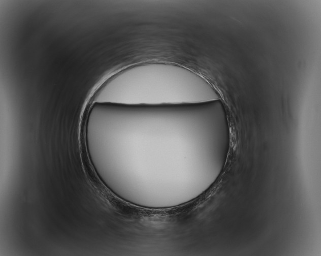 X0000085050196200703051052