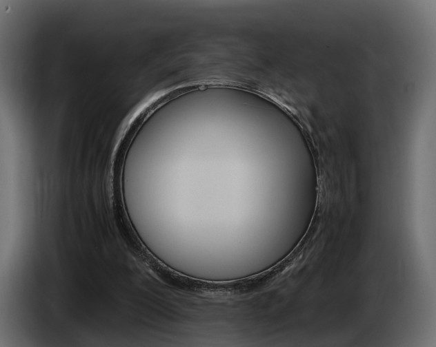 X0000085050200200703051052