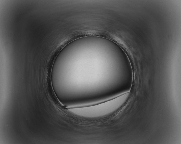 X0000085050201200703051052