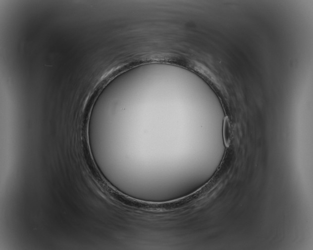 X0000085050203200703051052