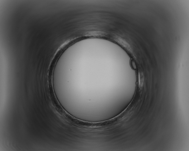 X0000085050204200703051052